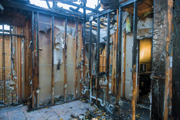 Professional Fire Damage Removal technician working in Cream Ridge, NJ