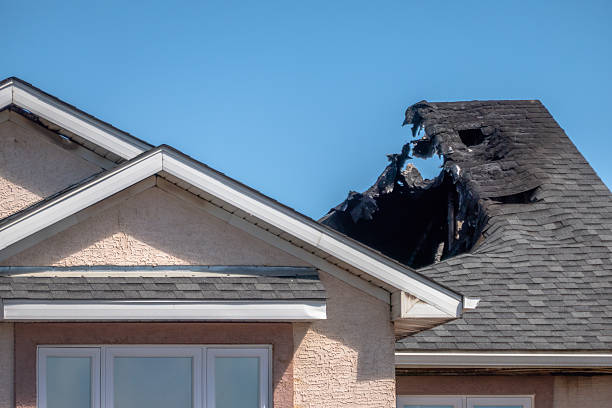 Top rated local Fire Damage Removal specialists in Cream Ridge, NJ
